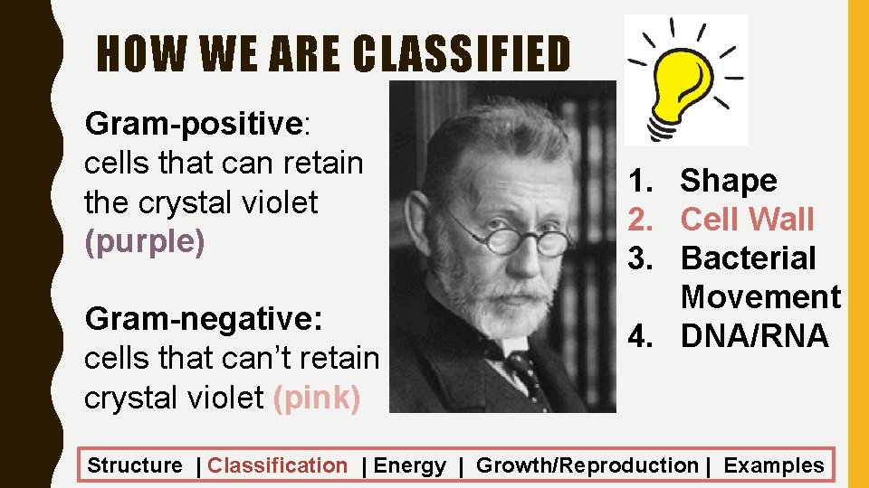 HOW WE ARE CLASSIFIED Gram-positive: cells that can retain the crystal violet (purple) Gram-negative: