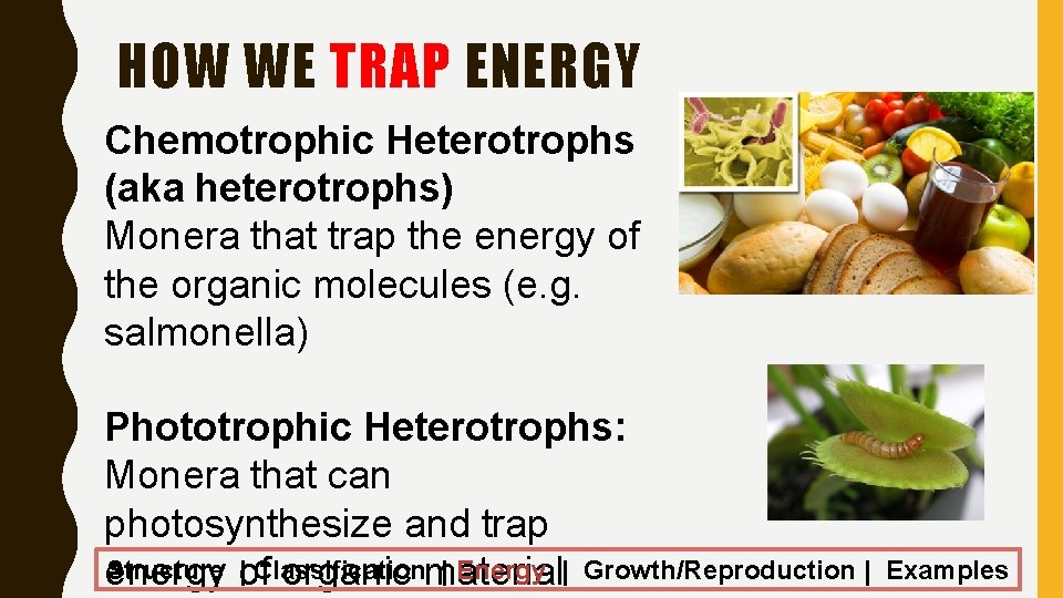 HOW WE TRAP ENERGY Chemotrophic Heterotrophs (aka heterotrophs) Monera that trap the energy of