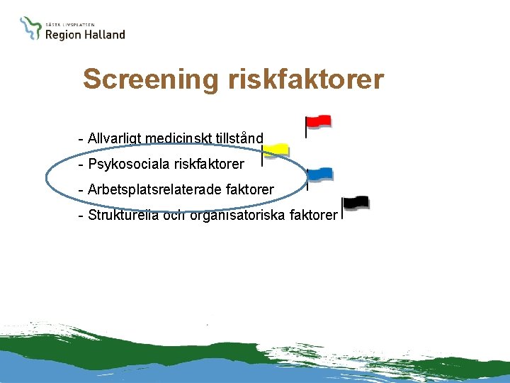 Screening riskfaktorer - Allvarligt medicinskt tillstånd - Psykosociala riskfaktorer - Arbetsplatsrelaterade faktorer - Strukturella