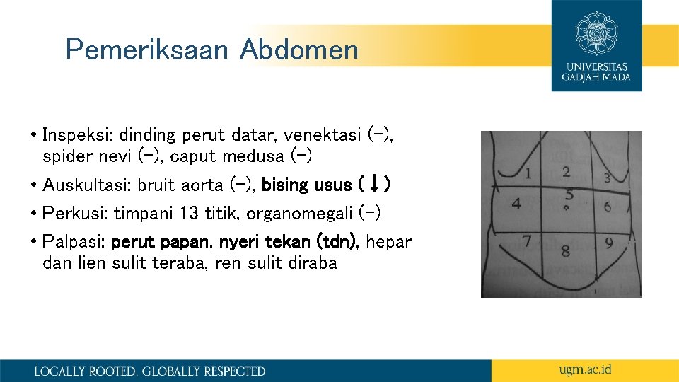 Pemeriksaan Abdomen • Inspeksi: dinding perut datar, venektasi (-), spider nevi (-), caput medusa