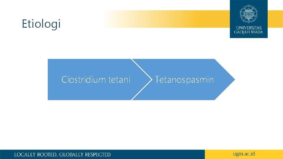 Etiologi Clostridium tetani Tetanospasmin 