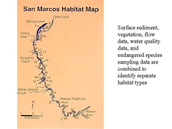 Surface sediment, vegetation, flow data, water quality data, and endangered species sampling data are