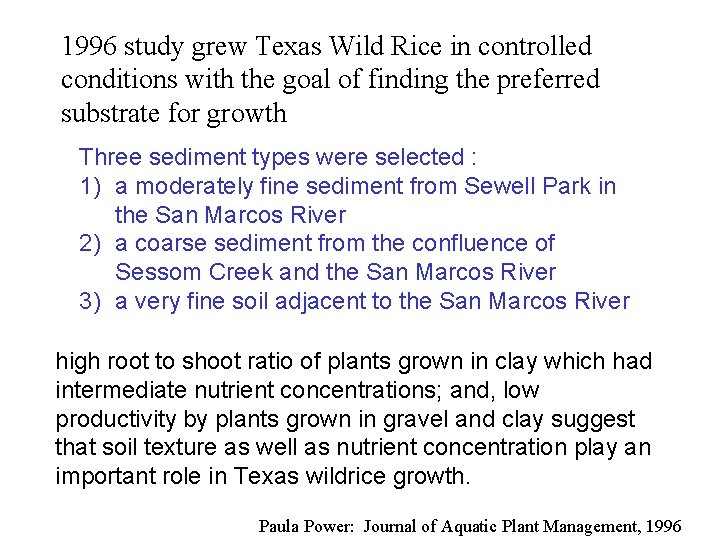 1996 study grew Texas Wild Rice in controlled conditions with the goal of finding