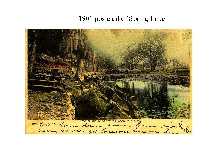 1901 postcard of Spring Lake 