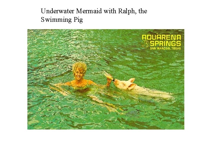 Underwater Mermaid with Ralph, the Swimming Pig 