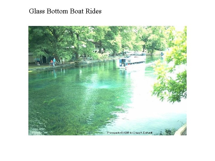 Glass Bottom Boat Rides 