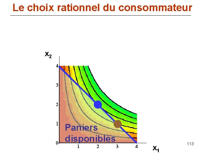 Le choix rationnel du consommateur x 2 Paniers disponibles x 1 113 