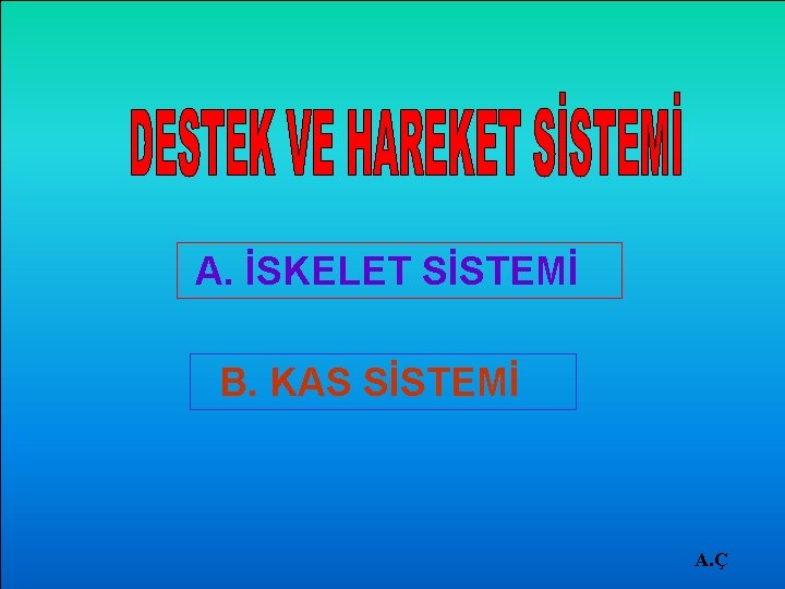 A. İSKELET SİSTEMİ B. KAS SİSTEMİ A. Ç 