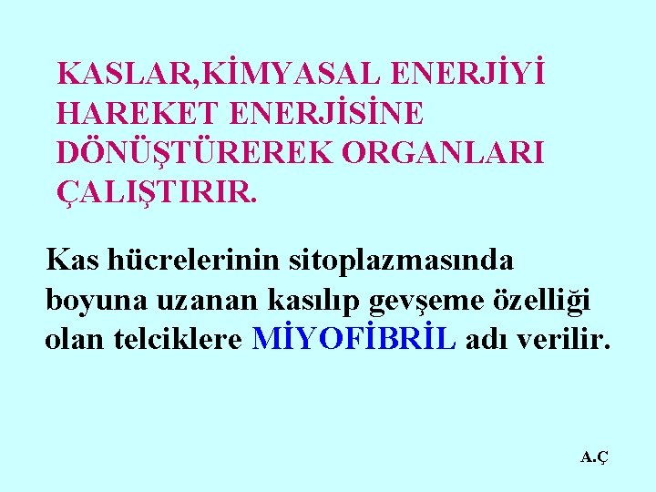 KASLAR, KİMYASAL ENERJİYİ HAREKET ENERJİSİNE DÖNÜŞTÜREREK ORGANLARI ÇALIŞTIRIR. Kas hücrelerinin sitoplazmasında boyuna uzanan kasılıp