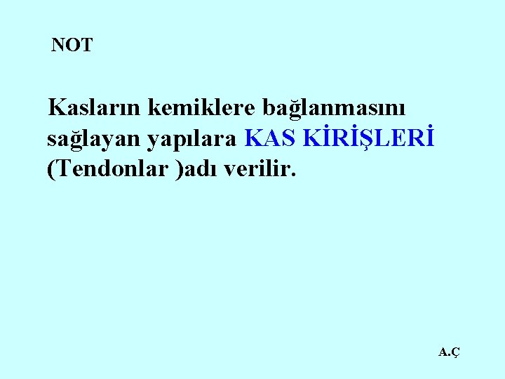 NOT Kasların kemiklere bağlanmasını sağlayan yapılara KAS KİRİŞLERİ (Tendonlar )adı verilir. A. Ç 