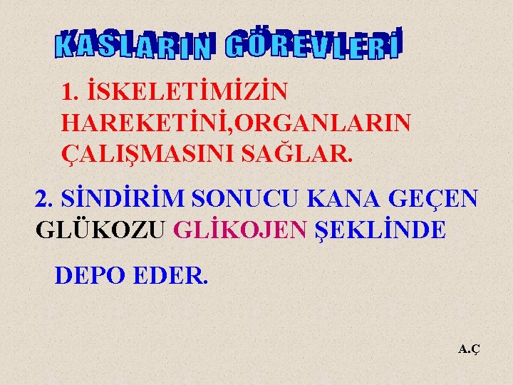 1. İSKELETİMİZİN HAREKETİNİ, ORGANLARIN ÇALIŞMASINI SAĞLAR. 2. SİNDİRİM SONUCU KANA GEÇEN GLÜKOZU GLİKOJEN ŞEKLİNDE