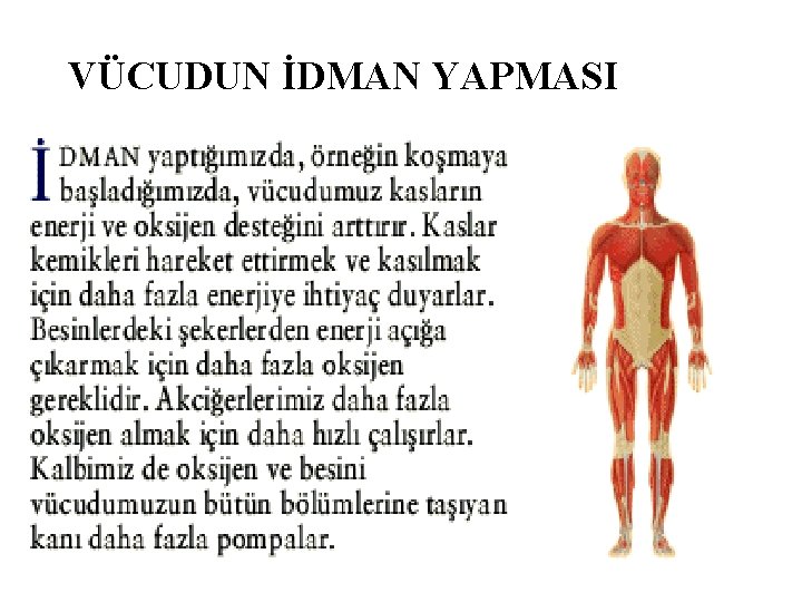 VÜCUDUN İDMAN YAPMASI A. Ç 