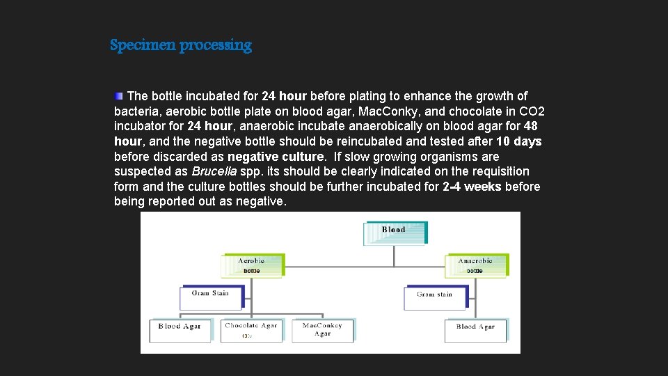 Specimen processing The bottle incubated for 24 hour before plating to enhance the growth