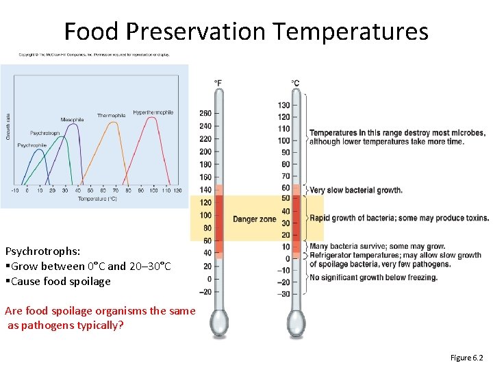 Food Preservation Temperatures Psychrotrophs: §Grow between 0°C and 20– 30°C §Cause food spoilage Are