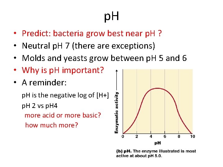 p. H • • • Predict: bacteria grow best near p. H ? Neutral