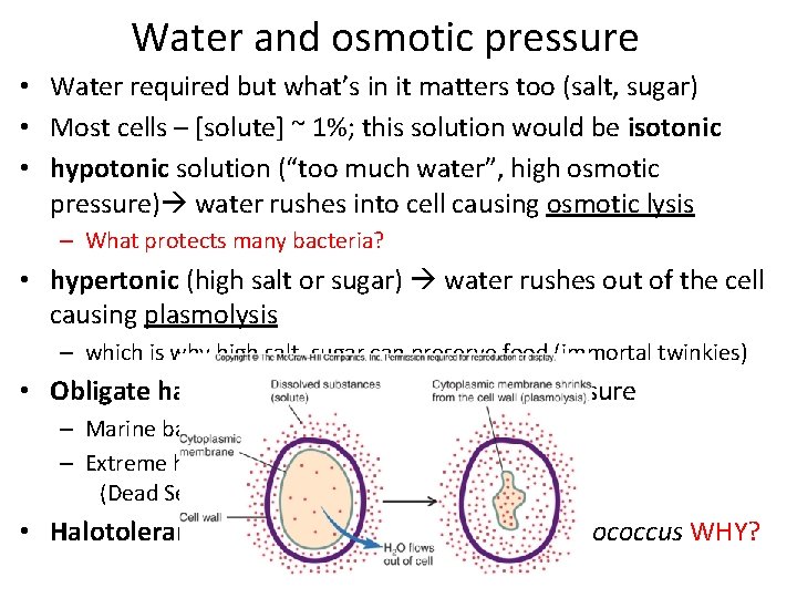 Water and osmotic pressure • Water required but what’s in it matters too (salt,