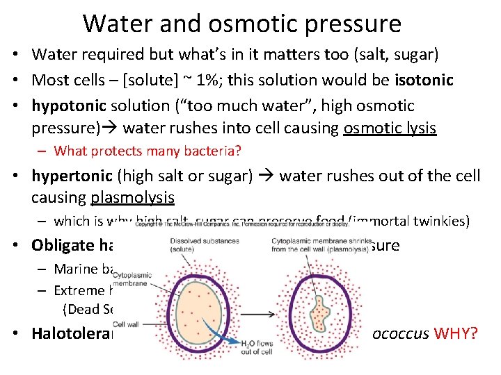 Water and osmotic pressure • Water required but what’s in it matters too (salt, Water and osmotic pressure • Water required but what’s in it matters too (salt,