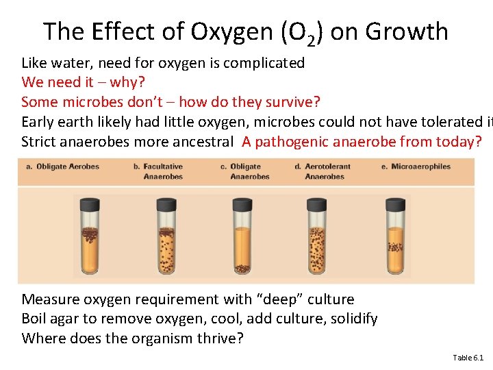 The Effect of Oxygen (O 2) on Growth Like water, need for oxygen is