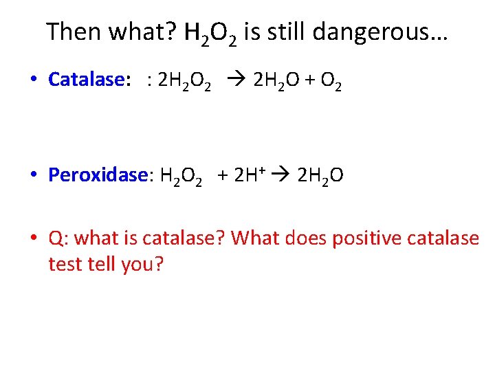 Then what? H 2 O 2 is still dangerous… • Catalase: : 2 H