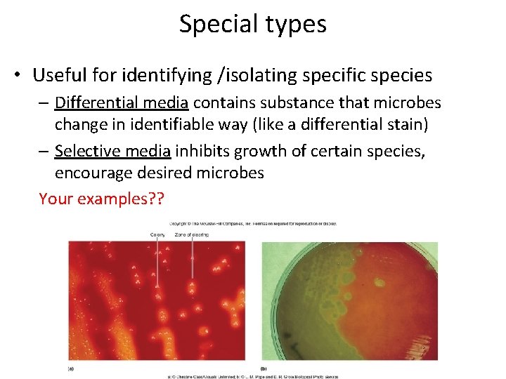 Special types • Useful for identifying /isolating specific species – Differential media contains substance