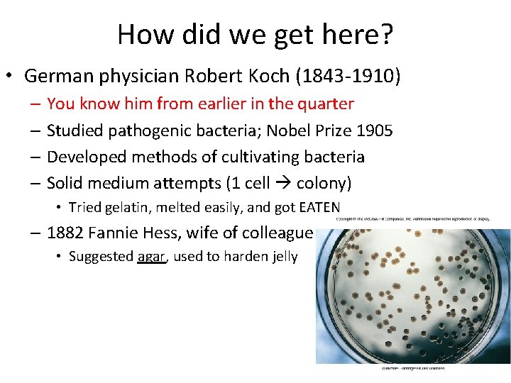 How did we get here? • German physician Robert Koch (1843 -1910) – You