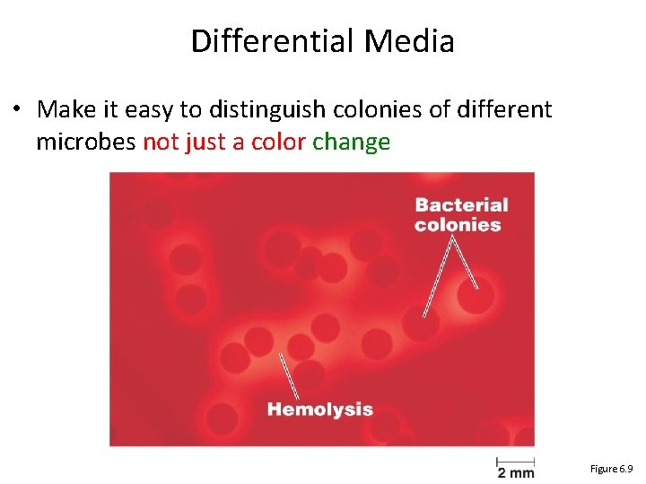 Differential Media • Make it easy to distinguish colonies of different microbes not just