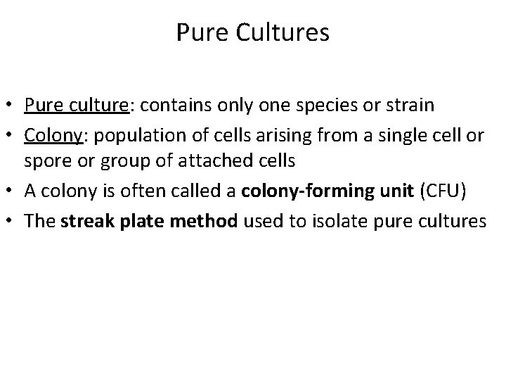 Pure Cultures • Pure culture: contains only one species or strain • Colony: population Pure Cultures • Pure culture: contains only one species or strain • Colony: population