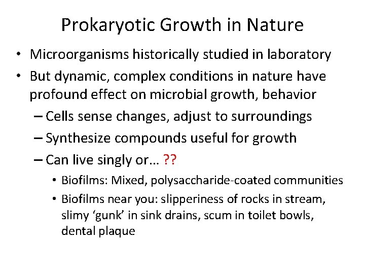 Prokaryotic Growth in Nature • Microorganisms historically studied in laboratory • But dynamic, complex