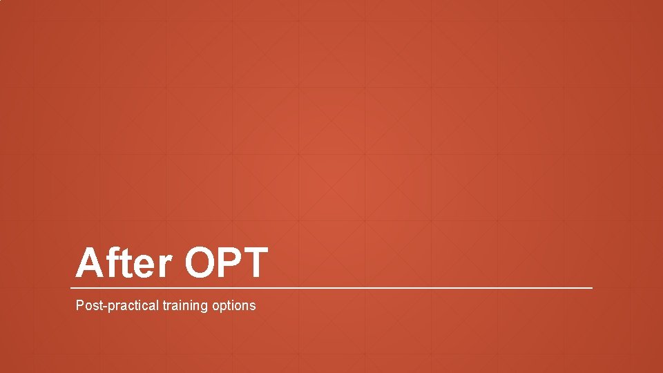 After OPT Post-practical training options 