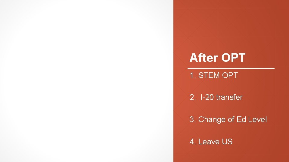 After OPT 1. STEM OPT 2. I-20 transfer 3. Change of Ed Level 4.