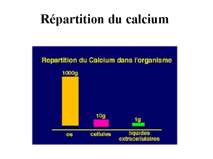 Répartition du calcium 