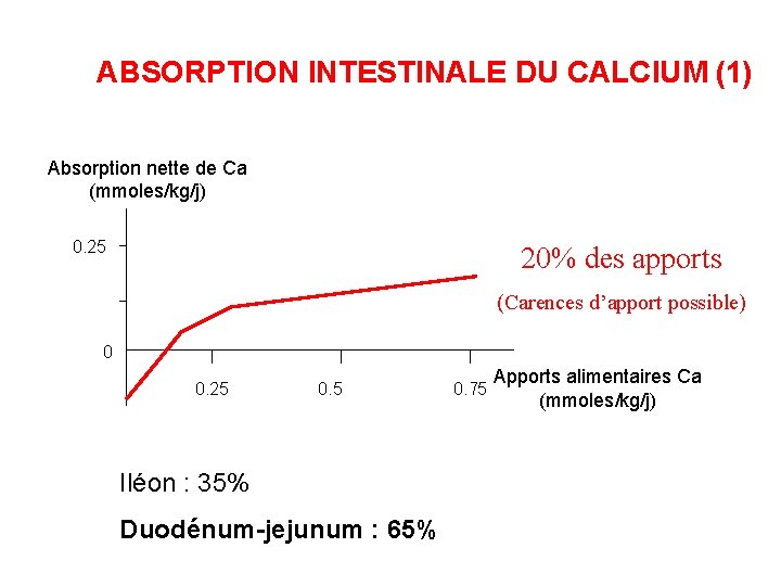 ABSORPTION INTESTINALE DU CALCIUM (1) Absorption nette de Ca (mmoles/kg/j) 0. 25 20% des