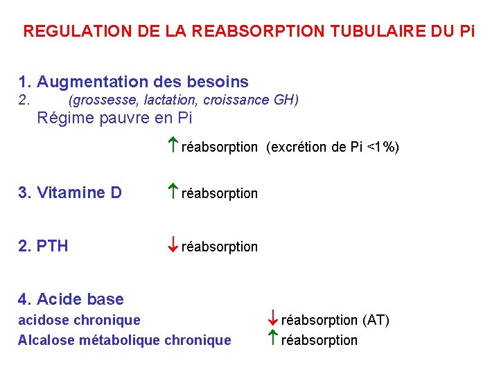 REGULATION DE LA REABSORPTION TUBULAIRE DU Pi 1. Augmentation des besoins 2. (grossesse, lactation,