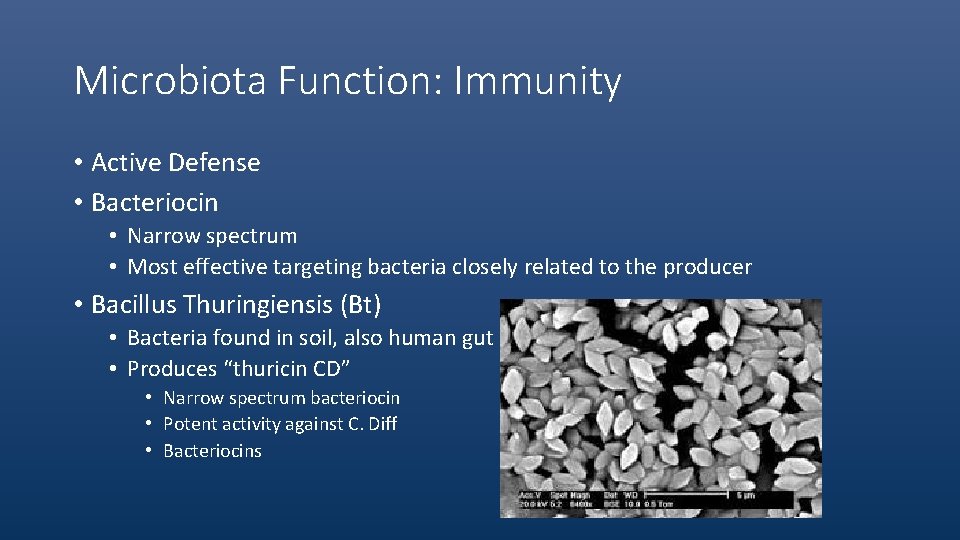 Microbiota Function: Immunity • Active Defense • Bacteriocin • Narrow spectrum • Most effective
