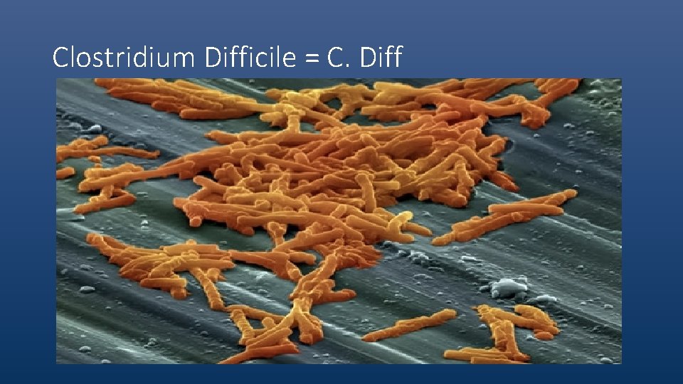 Clostridium Difficile = C. Diff 
