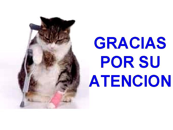 GRACIAS POR SU ATENCION 