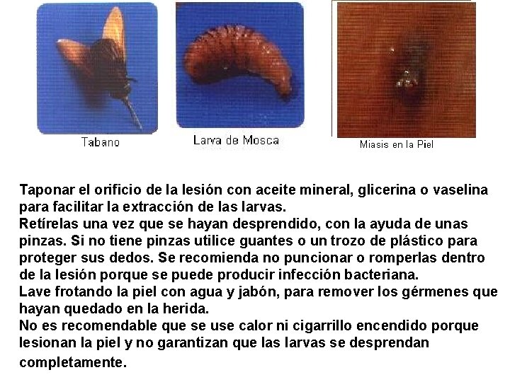 Taponar el orificio de la lesión con aceite mineral, glicerina o vaselina para facilitar