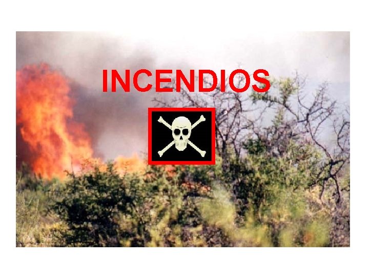 INCENDIOS 