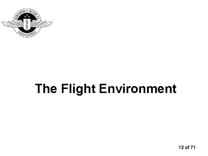 The Flight Environment 13 of 71 