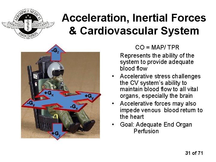 Acceleration, Inertial Forces & Cardiovascular System -Gz +Gx -Gy +Gy -Gx +Gz CO =