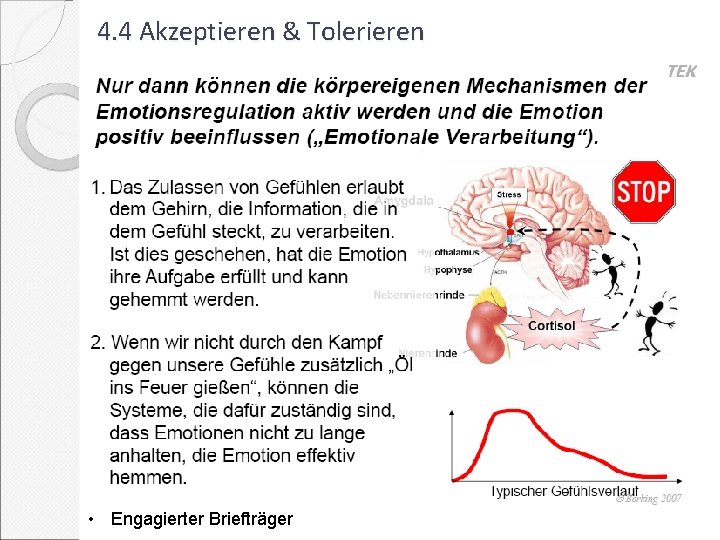 4. 4 Akzeptieren & Tolerieren • Engagierter Briefträger 