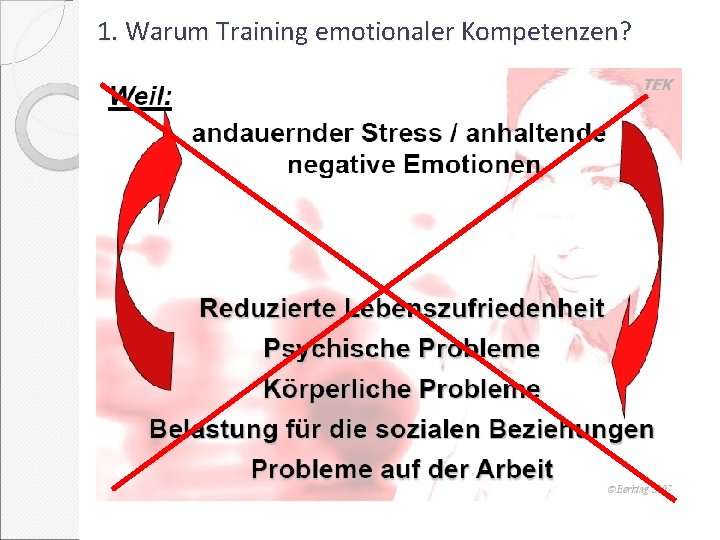 1. Warum Training emotionaler Kompetenzen? 