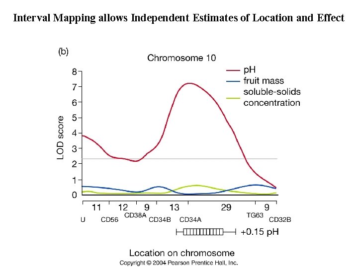 Interval Mapping allows Independent Estimates of Location and Effect 