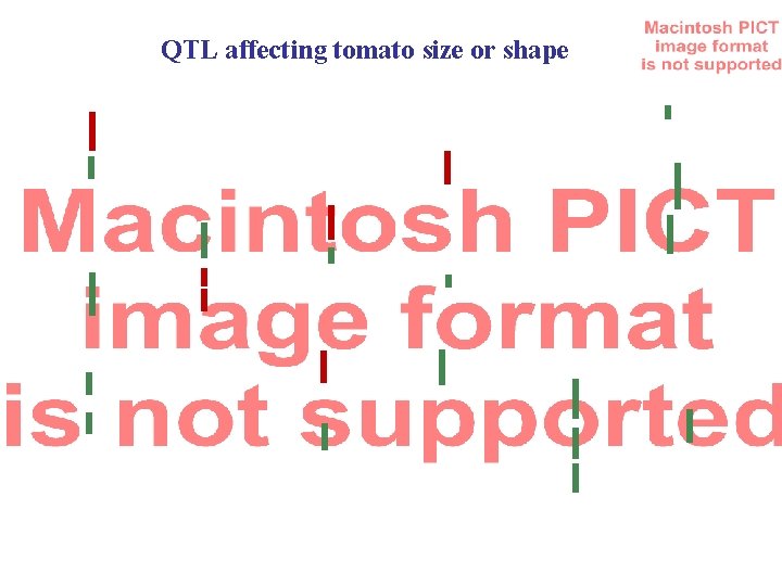 QTL affecting tomato size or shape 