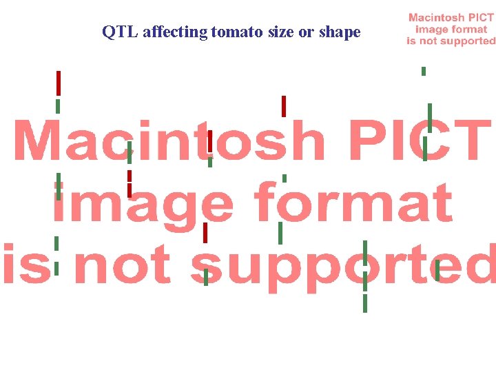 QTL affecting tomato size or shape QTL affecting tomato size or shape