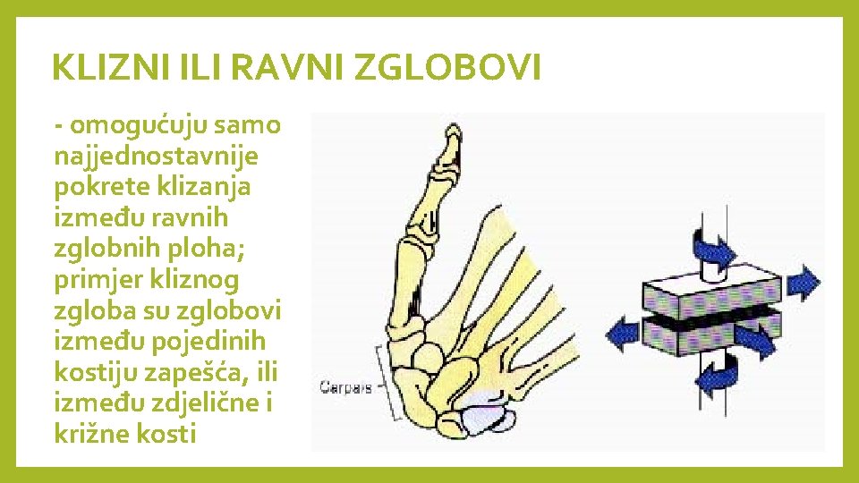 KLIZNI ILI RAVNI ZGLOBOVI - omogućuju samo najjednostavnije pokrete klizanja između ravnih zglobnih ploha;