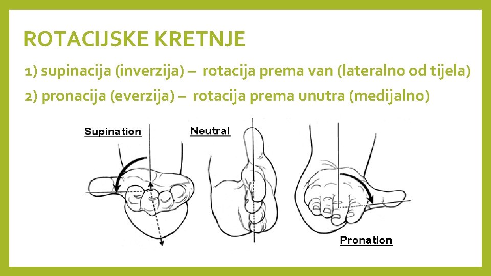 ROTACIJSKE KRETNJE 1) supinacija (inverzija) – rotacija prema van (lateralno od tijela) 2) pronacija