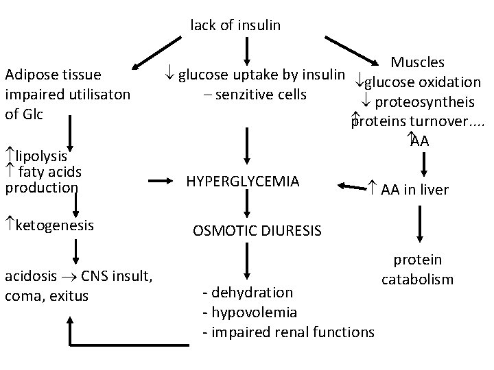 lack of insulin Adipose tissue impaired utilisaton of Glc lipolysis faty acids production ketogenesis