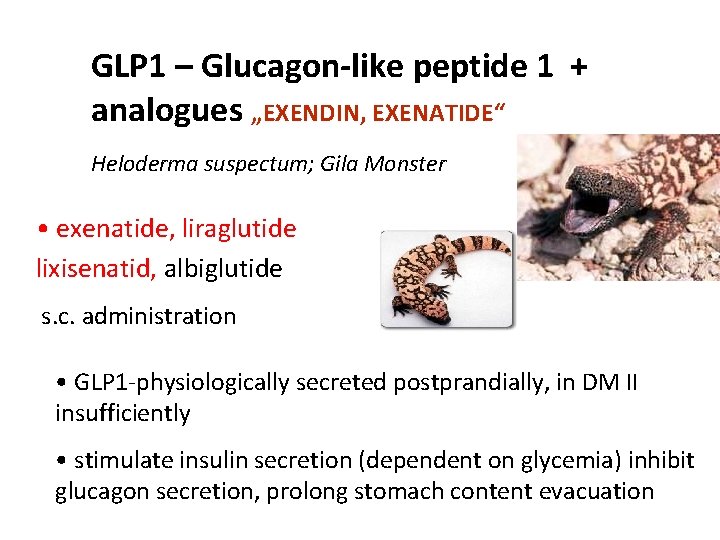 GLP 1 – Glucagon-like peptide 1 + analogues „EXENDIN, EXENATIDE“ Heloderma suspectum; Gila Monster