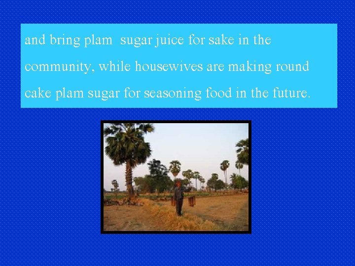 and bring plam sugar juice for sake in the community, while housewives are making